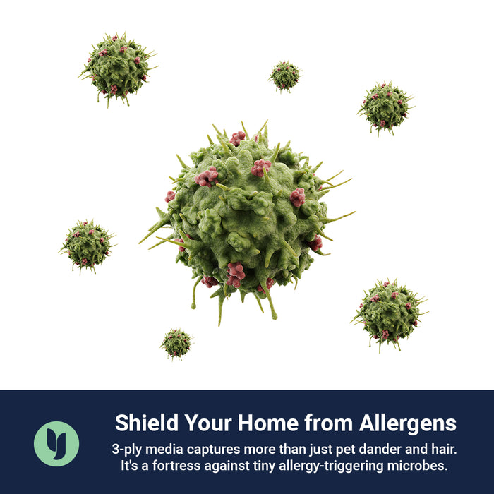 Furnace and AC Filters with Air Filter Subscriptions Yoor Air